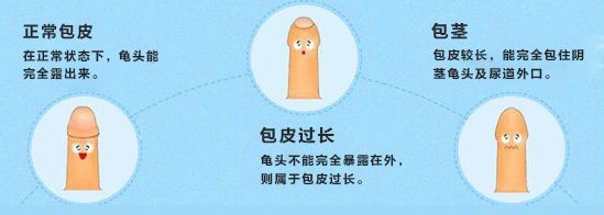那个......时间太短怎么办？(图4)