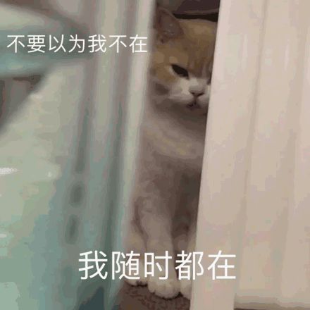 雄性激素对男性的影响，你不可不知！(图2)