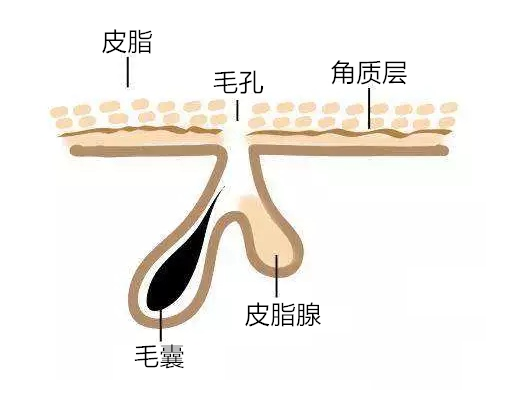小弟弟上长了“小点点”，是性病吗？(图15)